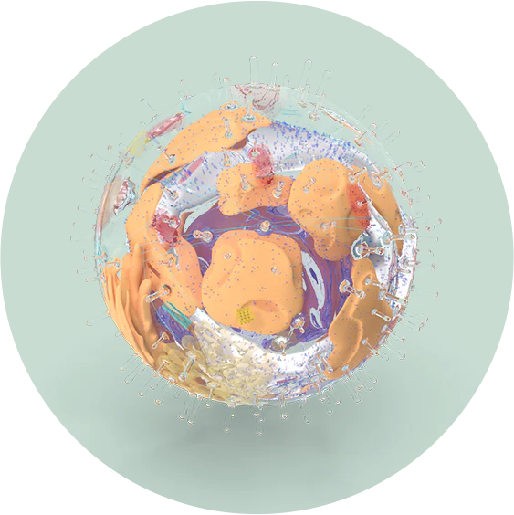 Alt image